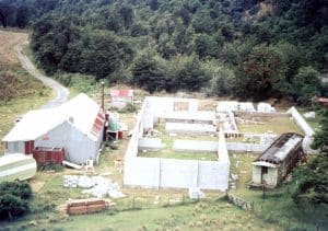 album_photos_large_10