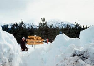 album_photos_large_14