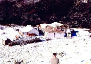 album_photos_large_4