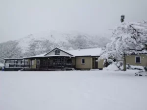 album-photos-large-116-66f35d4d371eb